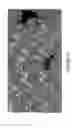 Fig. 12 - Antibody recognizing a small subset of human hematopoietic cells