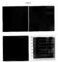 Fig. 13 - Viral fibers