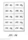 Fig. 13 - Assays for assembly of Ebola virus nucleocapsids