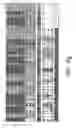 Fig. 19 - Assays for assembly of Ebola virus nucleocapsids