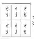 Fig. 25 - Assays for assembly of Ebola virus nucleocapsids