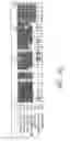 Fig. 28 - Assays for assembly of Ebola virus nucleocapsids