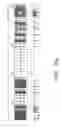 Fig. 31 - Assays for assembly of Ebola virus nucleocapsids
