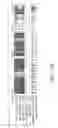 Fig. 33 - Assays for assembly of Ebola virus nucleocapsids