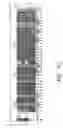 Fig. 41 - Assays for assembly of Ebola virus nucleocapsids