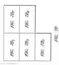 Fig. 46 - Assays for assembly of Ebola virus nucleocapsids