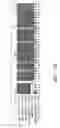 Fig. 47 - Assays for assembly of Ebola virus nucleocapsids