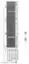 Fig. 49 - Assays for assembly of Ebola virus nucleocapsids
