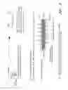 Fig. 52 - Assays for assembly of Ebola virus nucleocapsids