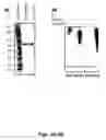Fig. 03 - Methods and compositions for the identification of anti-poxvirus agents