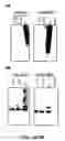 Fig. 04 - Methods and compositions for the identification of anti-poxvirus agents