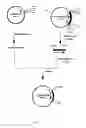 Fig. 06 - Novel DNA encoding Eimeria glyceroaldehyde-3-phosphate dehydrogenase and uses thereof