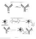 Fig. 03 - Drug delivery system