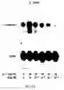 Fig. 16 - Soft tissue implants and anti-scarring agents