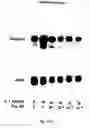 Fig. 22 - Soft tissue implants and anti-scarring agents