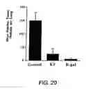 Fig. 22 - Systemic immune activation method using non CpG nucleic acids
