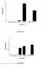 Fig. 33 - Systemic immune activation method using non CpG nucleic acids