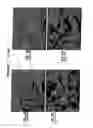 Fig. 07 - Instant modified flour