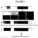 Fig. 02 - Images in solid surfaces