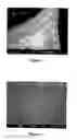 Fig. 02 - Fiber-reinforced ceramic composite material comprising a matrix with a nanolayered microstructure