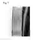Fig. 08 - Fine composite metal particles and their production method, micro-bodies, and magnetic beads