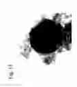Fig. 19 - Fine composite metal particles and their production method, micro-bodies, and magnetic beads