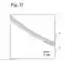 Fig. 22 - Fine composite metal particles and their production method, micro-bodies, and magnetic beads