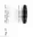 Fig. 28 - Fine composite metal particles and their production method, micro-bodies, and magnetic beads
