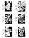 Fig. 07 - Method for forming ultrafine particle brittle material at low temperature and ultrafine particle brittle material for use therein
