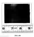 Fig. 06 - Nanotube-containing composite bodies, and methods for making same