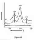 Fig. 49 - Ion conducting polymer membranes