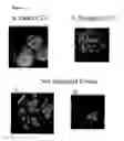Fig. 05 - Stabilization of cells and biological specimens for analysis