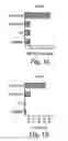 Fig. 02 - Process for high throughput screening of CpG-based immuno-agonist/antagonist