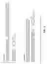 Fig. 02 - Periplasmic expression of antibodies using a single signal sequence