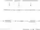 Fig. 02 - Method to control the distribution of the starch sugar's molecular weight in oligosaccharides production