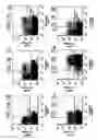 Fig. 09 - Anti-TECK antibodies and methods of use therefor