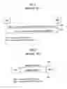 Fig. 02 - Method for concurrent multiple services in a mobile communication system
