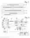 Fig. 03 - Applications of signal quality observations