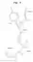 Fig. 06 - Crystal structures of anti-factor IX Fab fragments and methods of use for peptidomimetic design