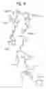 Fig. 07 - Crystal structures of anti-factor IX Fab fragments and methods of use for peptidomimetic design