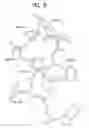 Fig. 08 - Crystal structures of anti-factor IX Fab fragments and methods of use for peptidomimetic design