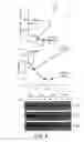 Fig. 05 - Stem cell factor for preventing chemotherapy-induced depletion of blood cells