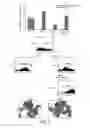 Fig. 06 - Stem cell factor for preventing chemotherapy-induced depletion of blood cells