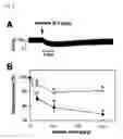 Fig. 04 - Venom-derived vascular endothelial growth factor-like protein having binding activity specific to vascular endothelial growth factor receptor type 2 and use thereof