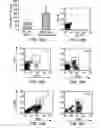 Fig. 37 - Progenitor cell preservation factors and methods for and products of their use