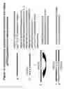 Fig. 19 - RNA interference mediated inhibition of interleukin and interleukin receptor gene expression using short interfering nucleic acid (SINA)