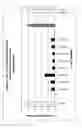 Fig. 27 - RNA interference mediated inhibition of interleukin and interleukin receptor gene expression using short interfering nucleic acid (SINA)