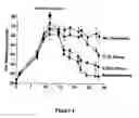Fig. 05 - NF-kappaB oligonucleotide decoy molecules