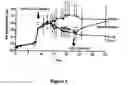Fig. 06 - NF-kappaB oligonucleotide decoy molecules
