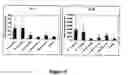 Fig. 07 - NF-kappaB oligonucleotide decoy molecules